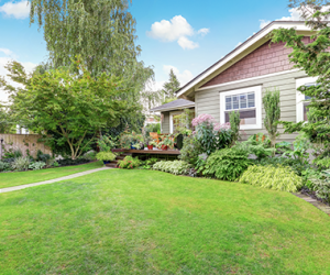 shutterstock 472008280@0.25x